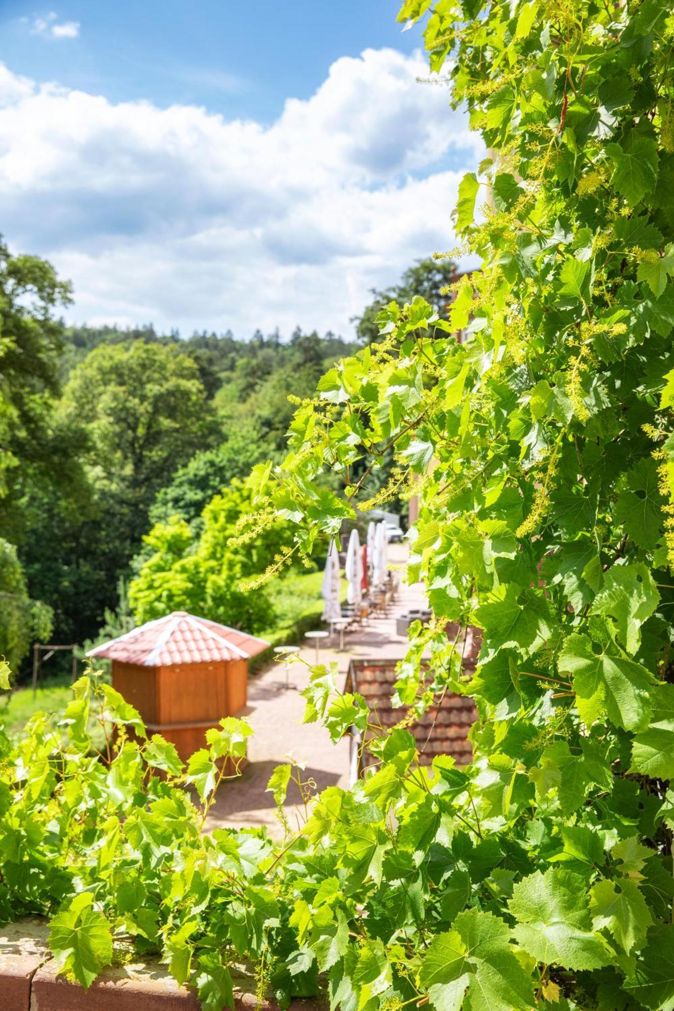 Roomingtons Hotel Franziskushoehe Lohr Екстер'єр фото