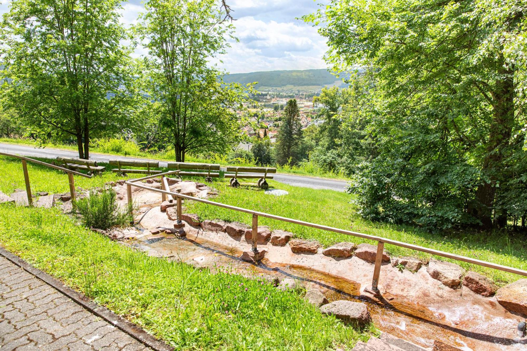 Roomingtons Hotel Franziskushoehe Lohr Екстер'єр фото